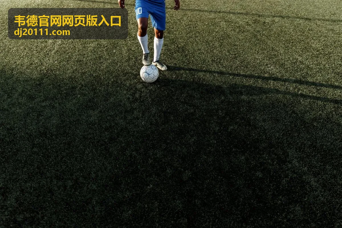 韦德官网网页版入口的页面操作示意